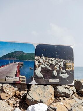 Vintage Gaspesie Quebec Coasters Set Travel Souvenir Sealed